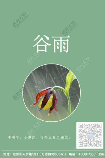 谷雨节日海报