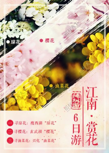 江南赏花游