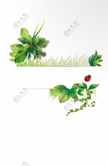 绿色植物背景分割线