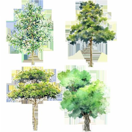 手绘树木绿植素材