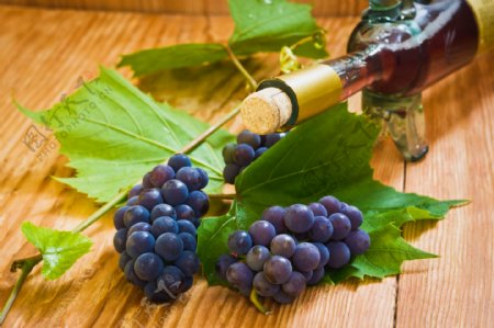 新鲜葡萄与葡萄酒图片