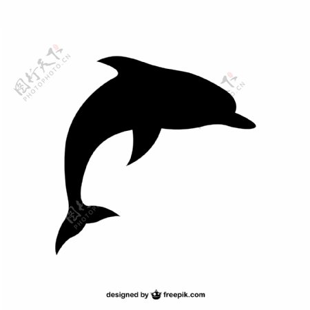 海豚的轮廓