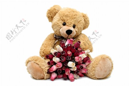 拿着玫瑰花的泰迪熊