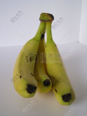 Bananas1.JPG