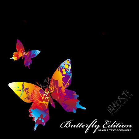 蝴蝶背景设计图片