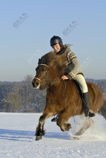 雪地上骑马奔驰的女孩图片