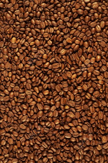 极品咖啡豆图片