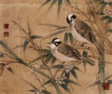 国画竹子上的鸟图片
