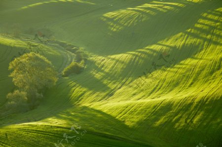 绿色山坡素材图片