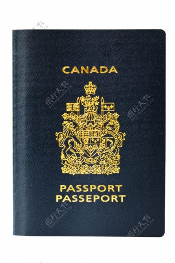 蓝色封面护照图片