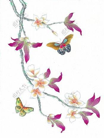 花卉树枝与蝴蝶图片