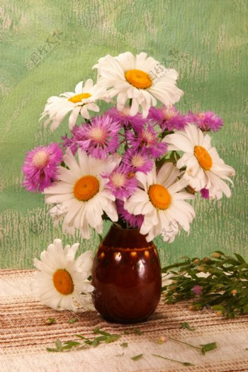 紫白花朵花瓶图片