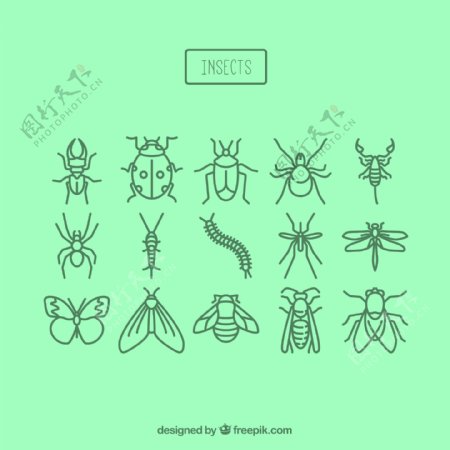 15昆虫矢量图标