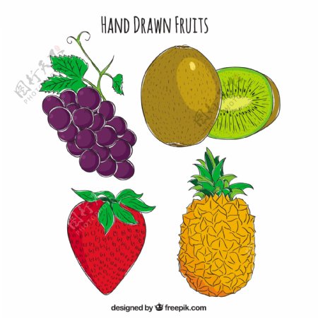 四个美味的手绘水果矢量素材