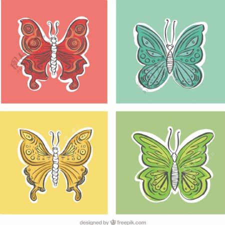 不同颜色和大小的蝴蝶