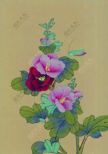 花卉植物装饰画图片