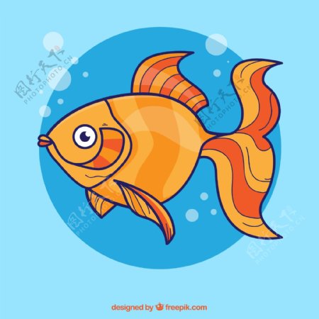 卡通橙色金鱼