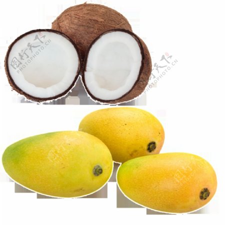 芒果椰子高清水果素材