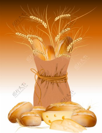 小麦与面包素材