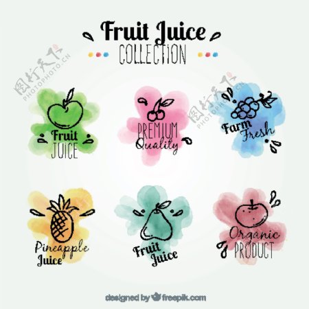 水彩画风格水果标签图标