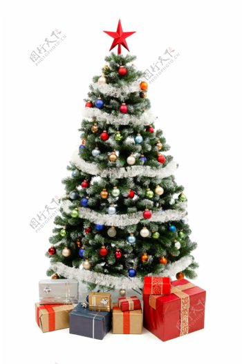 圣诞礼物圣诞树图片
