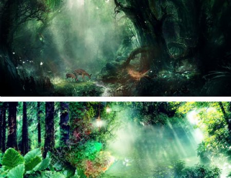 梦幻绿森林背景图