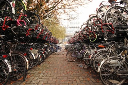 排放整齐的自行车