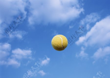 网球飞上了天图片