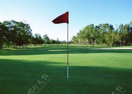 高尔夫球场上的红旗图片
