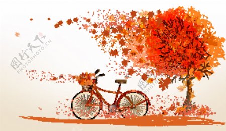 秋天红叶和自行车