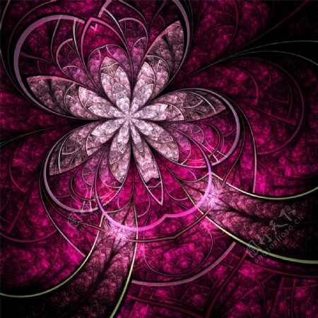 紫夜线条花朵背景图