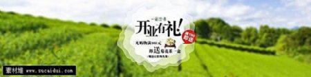 淘宝茶叶店开业促销海报素材