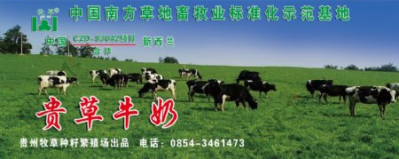 中国南方草地示范基地贵草牛奶