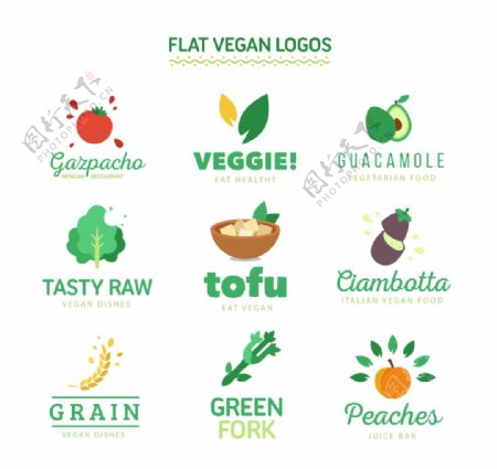 扁平蔬菜元素logo