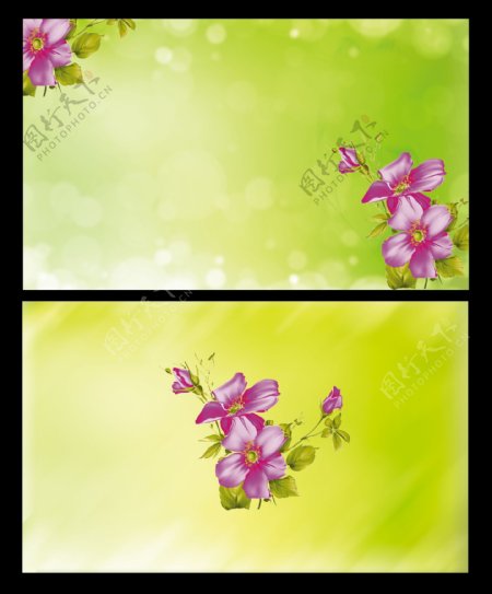 绿色清爽花朵背景设计PSD分层素材