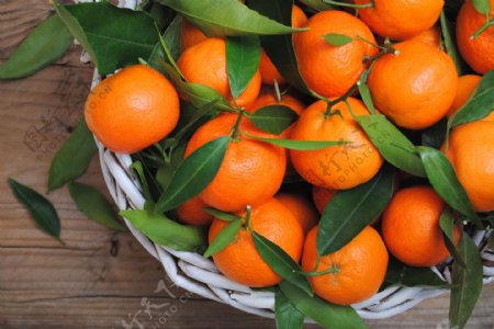 果篮中的新鲜橙子图片