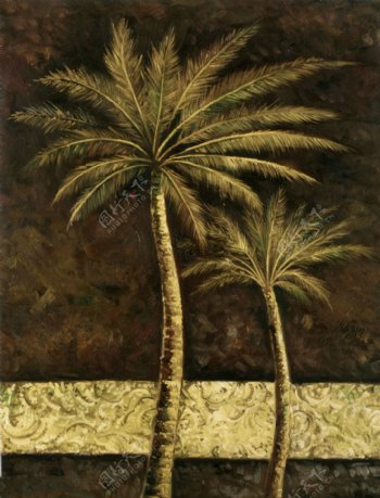 椰子树树木素材