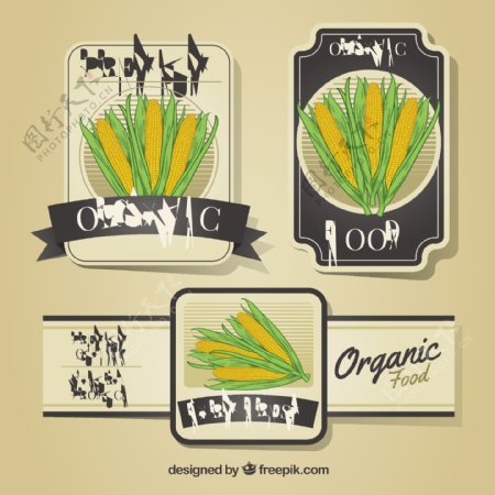 玉米芯装饰标签图标