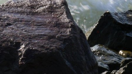 礁石石头水面素材