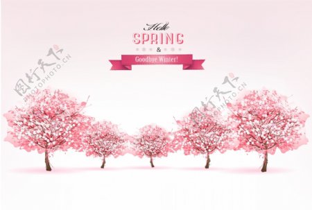 粉色浪漫樱花树