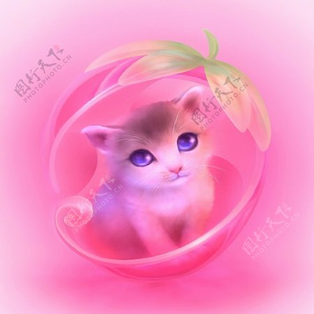 粉色小猫素材
