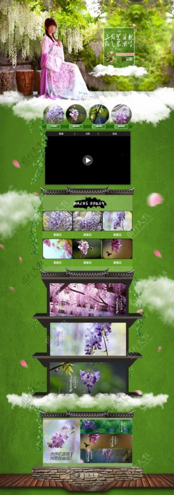 紫藤春天春季主题模板