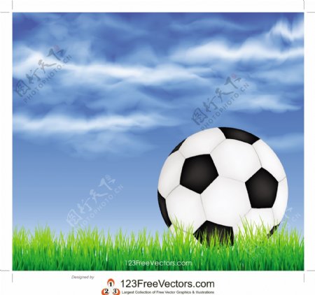足球在绿草地上