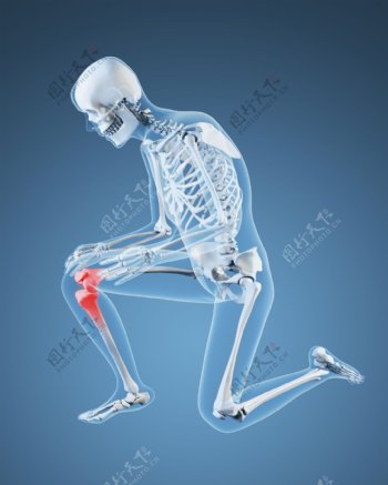 人体膝关节X光图像图片