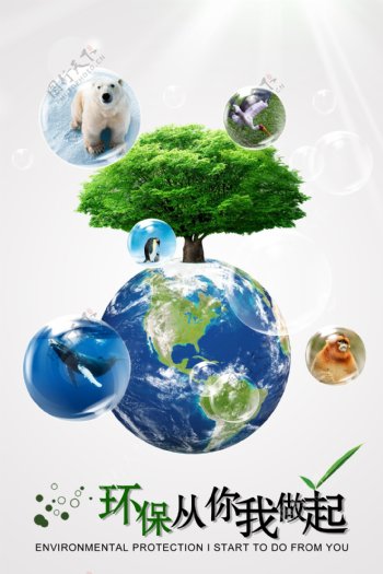 环境爱护动物海报