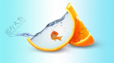 橙子金鱼创意合成练习