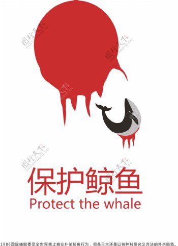 保护鲸鱼
