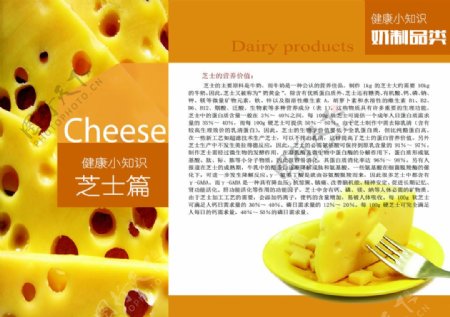 健康小知识画册奶制品类奶酪高清PSD下载