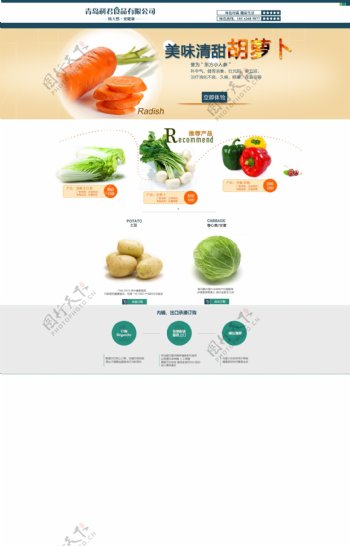 新鲜蔬菜PSD模板