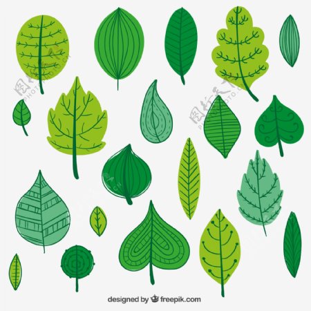 19款绿色树叶设计矢量图